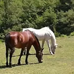 Fattoria La Germana Vakantieboerderij San Godenzo