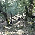 Fattoria La Germana * San Godenzo