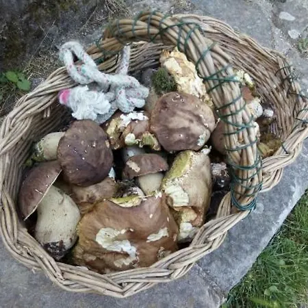 Fattoria La Germana Alojamento de Turismo Rural *